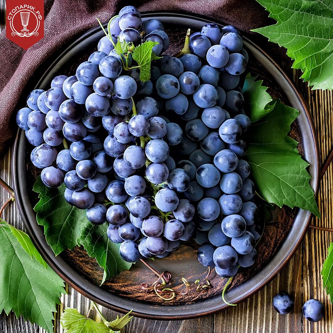 Стопарик - Столовый и технический виноград